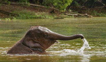 Family Getaway 5 Days 4 Nights Alleppey Water Activities Tour Package