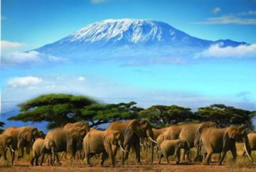 6 Days 5 Nights Nairobi, Amboseli, Nakuru and Maasai Mara Wildlife Vacation Package