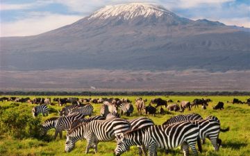 8 Days 7 Nights Nairobi, Mt Kenya, Aberdare and Samburu Holiday Package