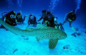 Amazing 6 Days 5 Nights Neil Island Luxury Trip Package