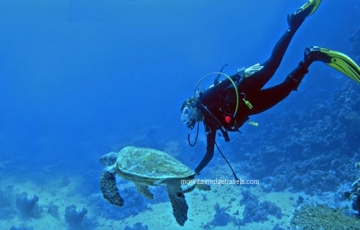 4 Days 3 Nights Mumbai to Reykjavk Tour Package