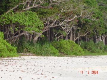 Ecstatic 5 Days Port Blair to Havelock Trip Package