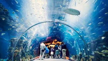 Dubai Fully Loaded Package