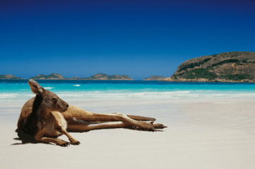 Experience 7 Days New Delhi to Gold Coast Friends Tour Package