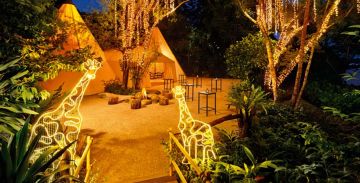 Memorable 6 Days Delhi and Singapore Tour Package