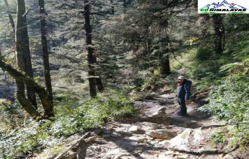 Amazing 3 Days Kasol to Kasol-Chalaal Friends Holiday Package