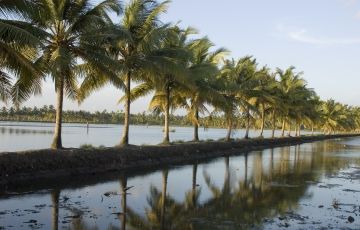 Family Getaway 2 Days 1 Night Kumarakom Trip Package