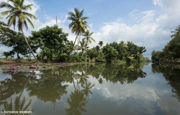 Best 5 Days 4 Nights Periyar Luxury Holiday Package