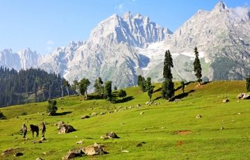 Magical 6 Days 5 Nights Sonamarg Trip Package