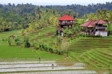 5 Days India to Bali Luxury Vacation Package