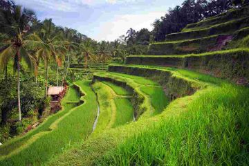 Experience 4 Days Bali, Indonesia to Bali Romantic Holiday Package