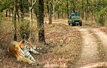 Best Bandhavgarh Tour Package for 2 Days 1 Night