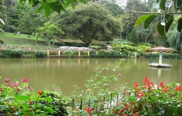 trip bandipur ooty package
