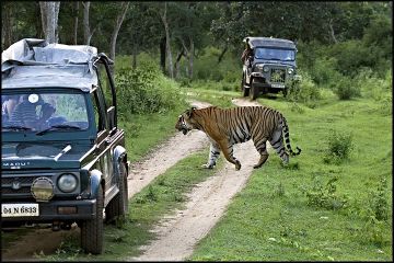 Best 4 Days 3 Nights Bandipur Weekend Getaways Trip Package