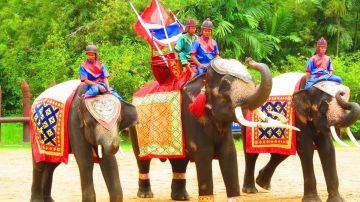Magical 7 Days Thailand to Pattaya Beach Holiday Package