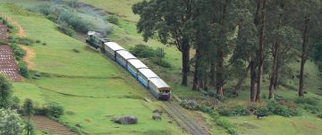 Experience 6 Days Mysore Family Trip Package