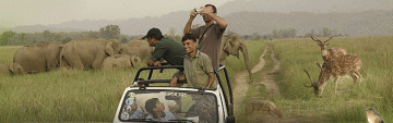 7 Days 6 Nights Jim Corbett Park Hill Stations Trip Package