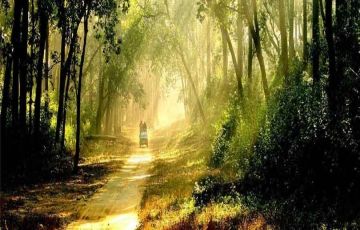 Ecstatic 3 Days 2 Nights Jim Corbett National Park Adventure Tour Package