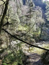 Amazing 3 Days Kasol to Kasol-Chalaal Friends Holiday Package