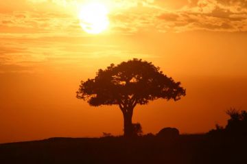 Big Five Safari