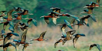 Best 7 Days Delhi Family Vacation Holiday Package