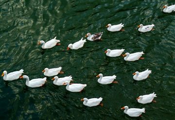 Pleasurable NAUKUCHIATAL Tour Package for 4 Days 3 Nights