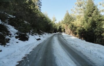 Magical 8 Days 7 Nights Punakha Friends Trip Package