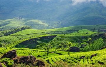 Amazing 5 Days 4 Nights Munnar Family Tour Package