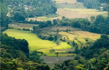 Pleasurable 7 Days 6 Nights Cherai Trip Package