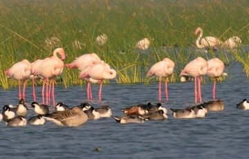 Pleasurable Sasangir Tour Package for 5 Days 4 Nights