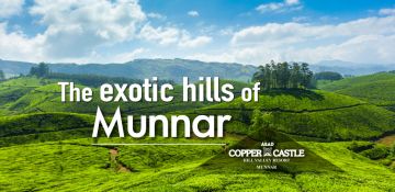 Pleasurable 3 Days Madurai to Munnar Lake Vacation Package