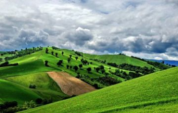 Pleasurable 4 Days 3 Nights Jaipur and Ranthambore Trip Package