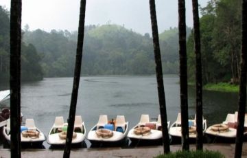 Pleasurable 3 Days 2 Nights Kerala Vacation Package