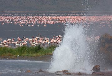7 Days 6 Nights Nairobi to Maasai Mara Wildlife Holiday Package