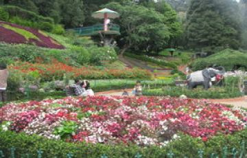 Family Getaway Ooty Shopping Tour Package from Bengaluru