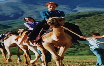 Best 2 Days 1 Night Cape Vacation Package