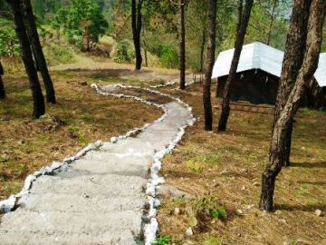 Haridwar,Rishikesh,Mussoorie,Kanatal,Lansdowne Tour