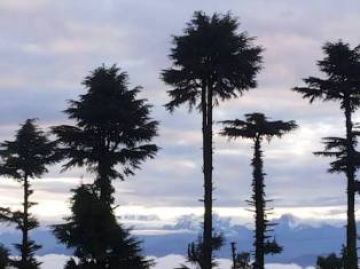 Mussoorie Kanatal Dhanaulti Tehri Dam Tour Package