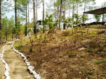 Heart-warming 2 Days Lansdowne Hill Stations Tour Package