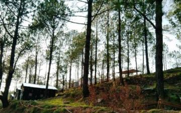 Heart-warming 2 Days Lansdowne Hill Stations Tour Package