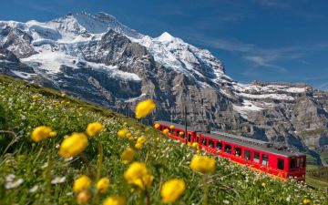 Scenic Switzerland - Hassle Free