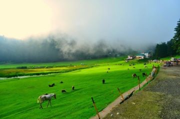 Experience 4 Days 3 Nights MCLEODGANJ, CHAMBA and KHAJJIAR Vacation Package
