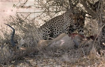 Ecstatic 5 Days 4 Nights Manyara Nature Holiday Package