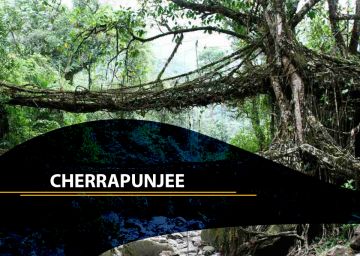 Magical Cherrapunjee Tour Package for 7 Days 6 Nights from Guwahati