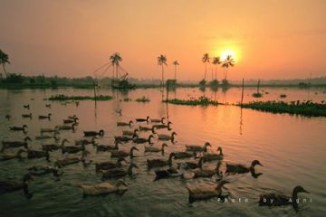 Magical 5 Days 4 Nights Thekkady Vacation Package