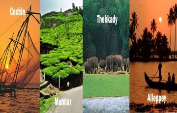 Amazing 7 Days 6 Nights Munnar, cochin, thekkedy and alleppey Trip Package