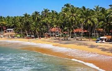 7 Days Kochi to Thekkady Tour Package