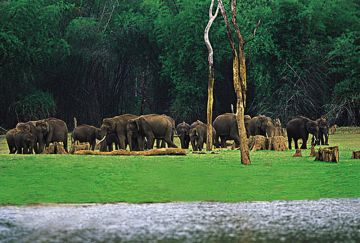 6 Days 5 Nights Kochi to Thekkady Family Holiday Package