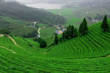 Memorable 6 Days 5 Nights Mysuru Holiday Package