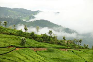 Pleasurable 8 Days Coonoor Offbeat Trip Package